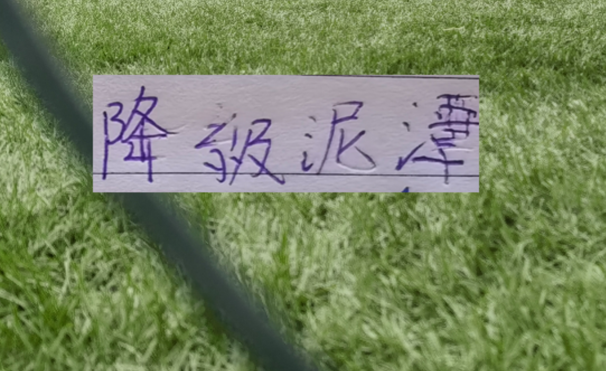 开云体育运营团队-申花能否摆脱降级泥潭！ 前5轮！成绩很重要